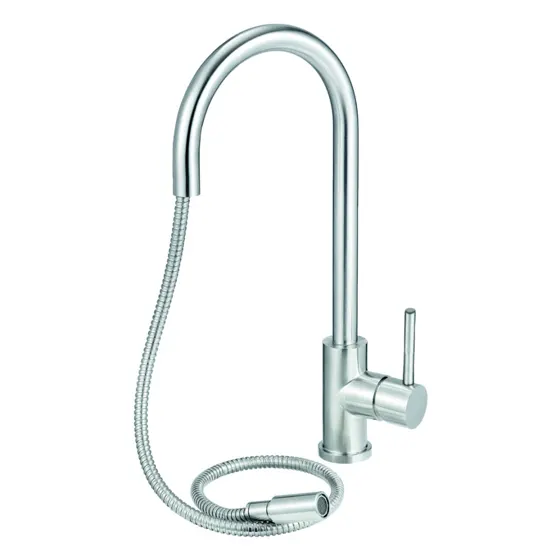 Lanesto Forte met uittrekbare perlator, Rvs