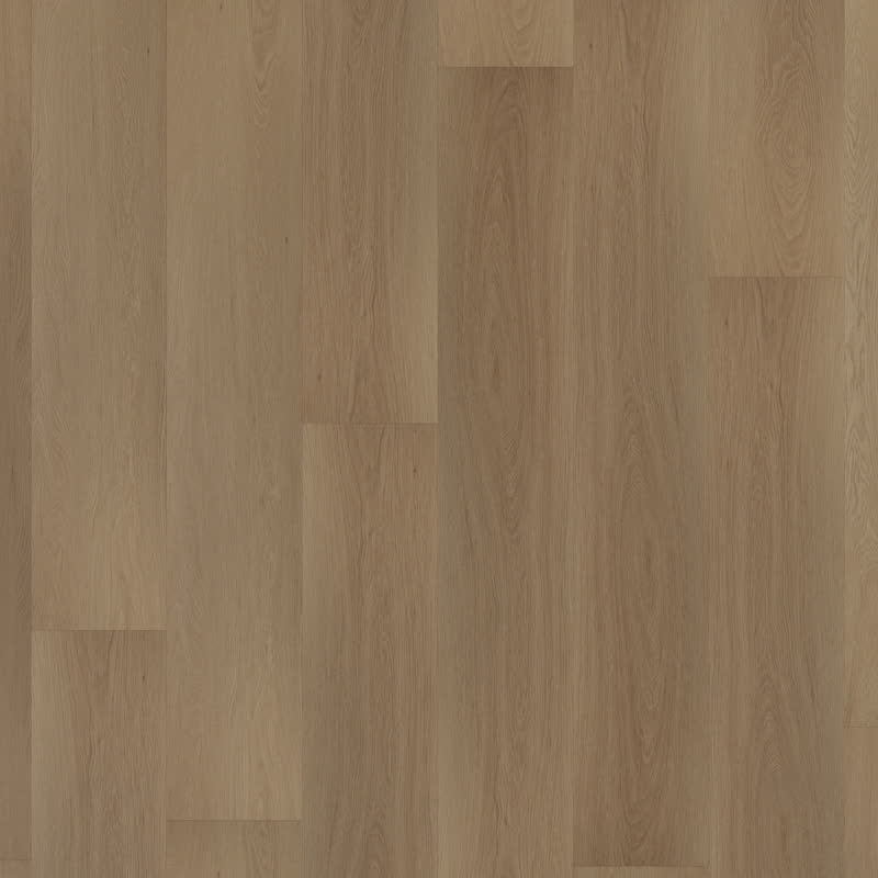 Kleurstaal van Room5 Regency Wood als plank: de kleur van onbehandeld eiken